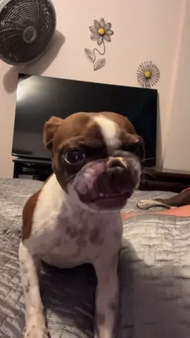 Dame un grrr 😠🤣 #keisynayobi #viral #fyp #fupシ 