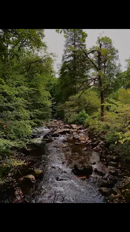 This was at a massive forest can’t remember we’re about a but it was on the other side of loch lomand and a lot of interesting stuff 
