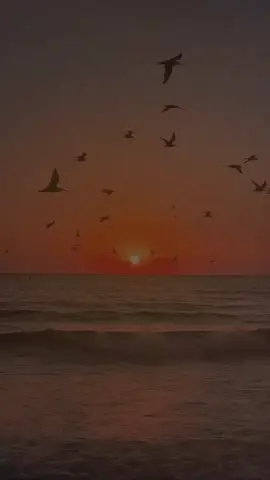 #هكذا إفترقنا #🤔🤔🤔😘😘😘😘😘😘😘😘😘🤗🤗🤗🤗🤗🤗🤗🤗🤗🤗🤗😍😍😍😍😍😍🤗🤗🤗 @نغم محمد 