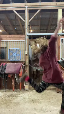 #carebycara #skit #funnyvideo #equestrian 