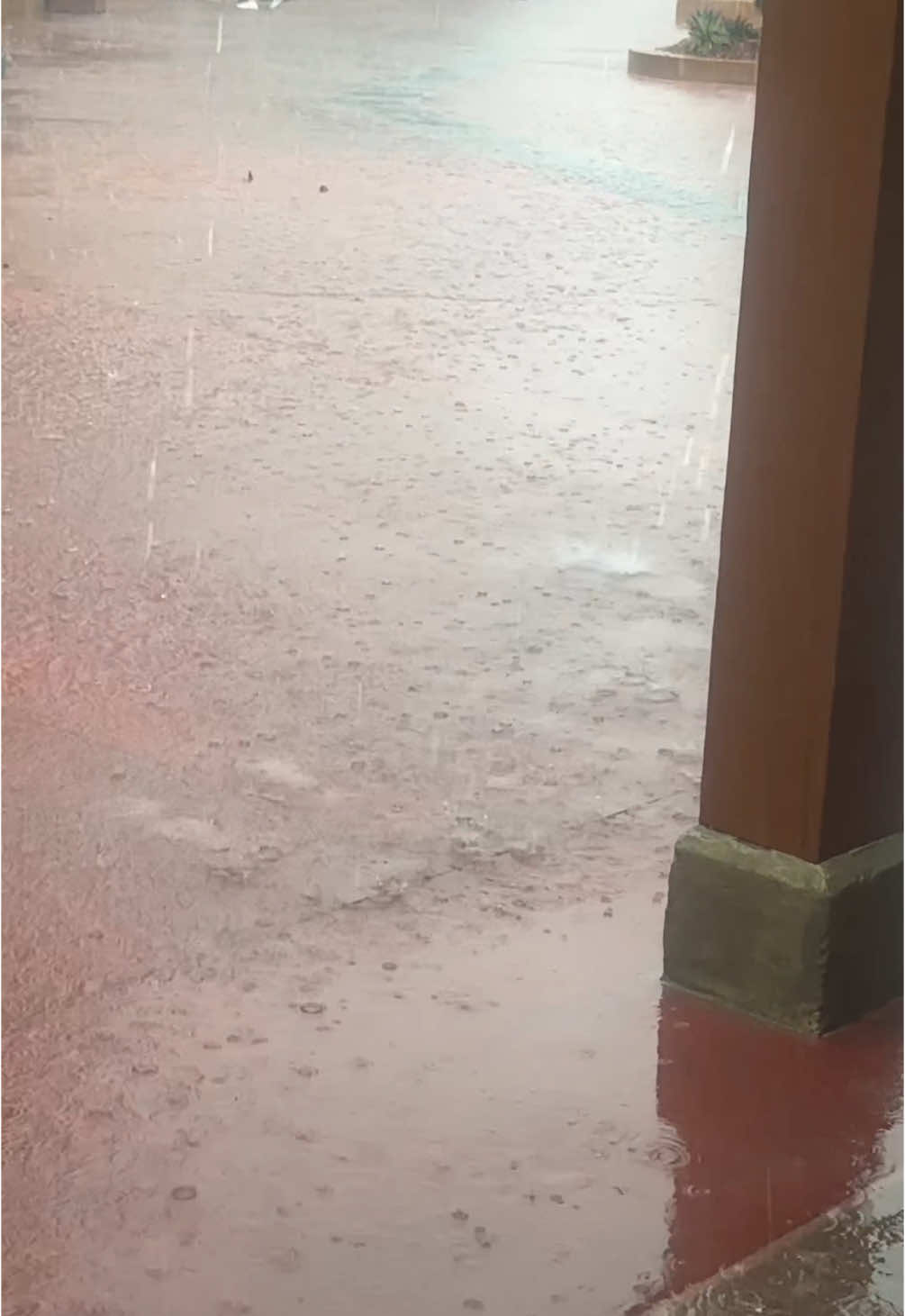 RED HOT Sun to Storm in seconds #disney #storm #magic #magickingdom 