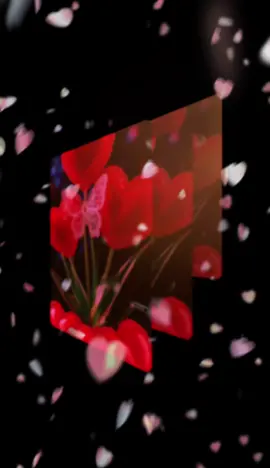 #CapCut #viralvideo #livehighlights #livehighlights08 