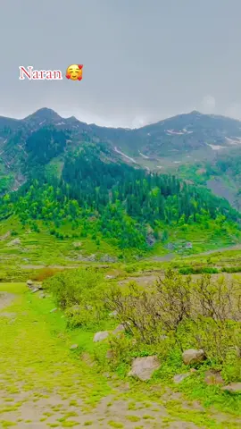 #forypu #foryoupage #comment #bawoo #unfrezzmyaccount #forypupage❤️ #