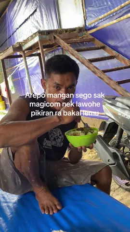 Lawohe pikir #bismillahfyp #masukberandafyp #perternakmuda #xybca #ayamboiler #ayamviral 