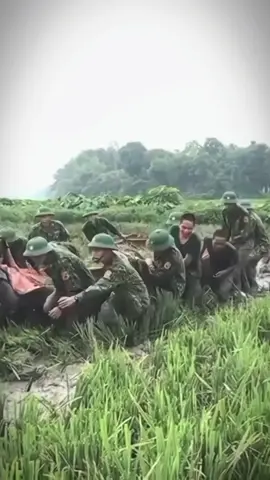 Bộ đội ngày xưa kéo pháo. Bộ đội ngày nay kéo lúa. Bộ đội ta xuất hiện trên mọi mặt trận.  #xuhuong #videoviral #qđndvn #qđndvn🇻🇳🇻🇳🇻🇳 