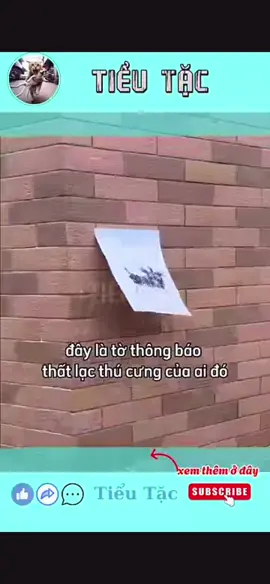 Nhìn y chang luôn 