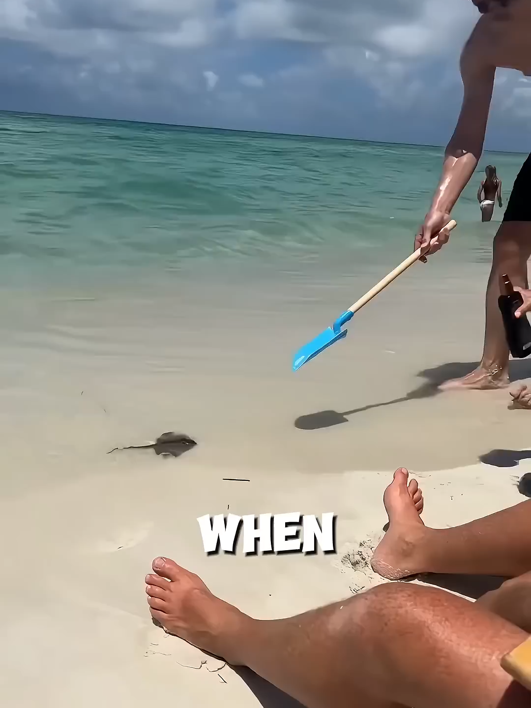 This man got fooled at the beach 😭  #wholesome #story #storytelling #animals #cute