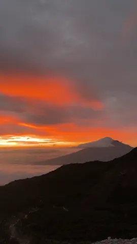 #sunrise #papandayan #tebingsonipapandayan 