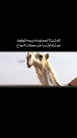 #اكسبلور #explore #البل #الوضح #المجاهيم #فرديات 