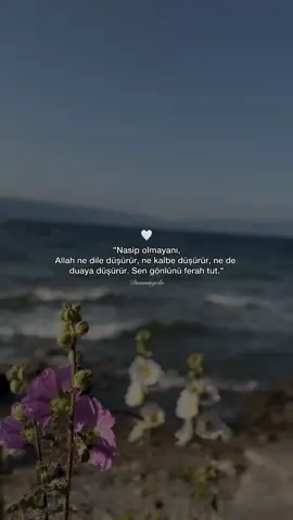 🌸