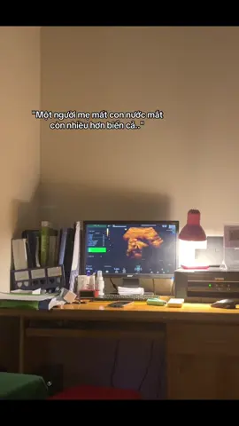 Em bé của mẹ ở nơi đó có khỏe không con? Từ ngày em rời xa mẹ, mẹ hận bản thân mình nhiều lắm. Không ngày nào, mẹ không nghĩ về con. Mẹ tạo ra con nhưng lại chẳng bảo vệ được con. Mẹ xin lỗi em bé của mẹ :((( 