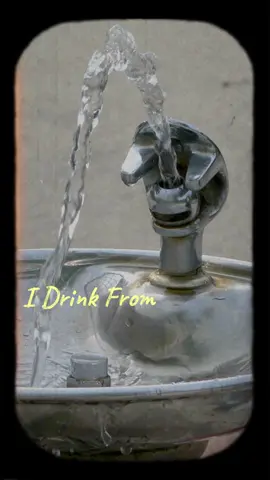 Drinking from a prison toilet water fountain...