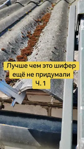Покраска крыш в Беларуси #рекомендации #тикток #крыша 
