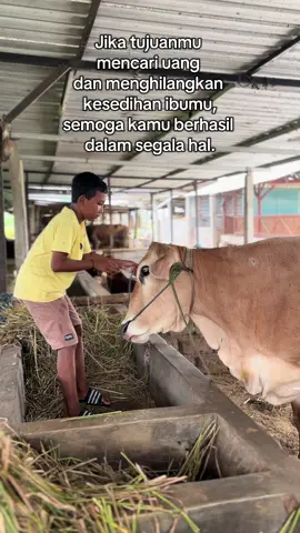 #fyp #setiafarm #motivasihidup #motivasisukses #peternakmuda #capcut #abk 