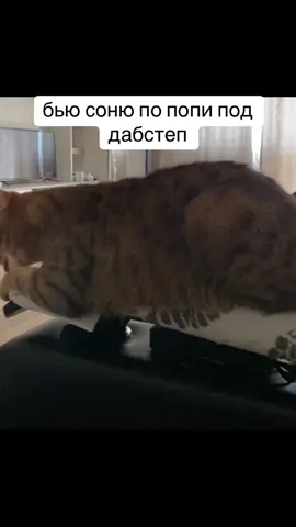 #рекомендации 