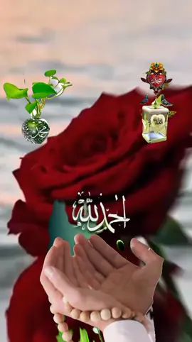 #الحمدالله_علی_کل_حال❤ #الحمدلله_دائماً_وابداً💚🌧️🤲 #الحمدلله_ع_نعمة_الاسلام #🤲🤲🤲 #🤲🤲🤲 #🤲 