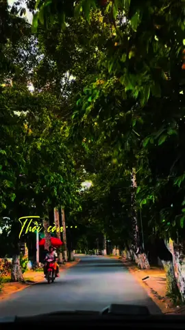 Bởi không duyên nợ thôi đành từ nay cách xa…#nhachay #nhacnayhay #nhactamtrangbuon💔 #nhacnaynghelanghien #nhacchillphet🎶 #lyricsvideo #xuhuongtiktok #xuhuong #fyp #xh #thanhnguyn3958 
