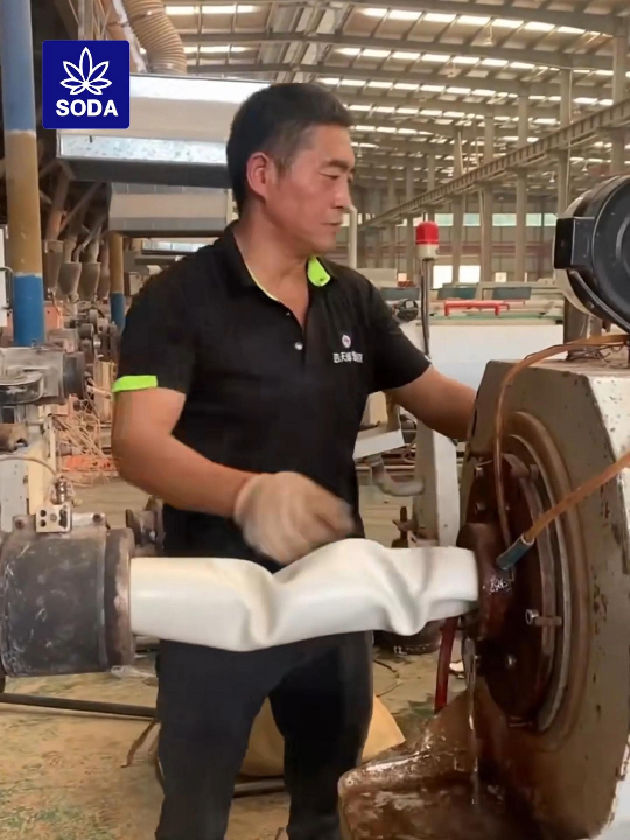 #ជីសូដា