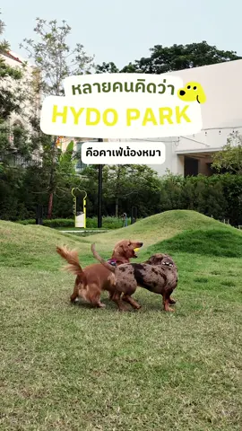 ใครกำลังสงสัย Hydo Park ของเรามีบริการอะไร ใช่คาเฟ่หมาหรือเปล่า คลิปนี้มีคำตอบ✨ #คาเฟ่หมาเข้าได้ #hydopark #doglovers #hydoparkbkk #dogpark 