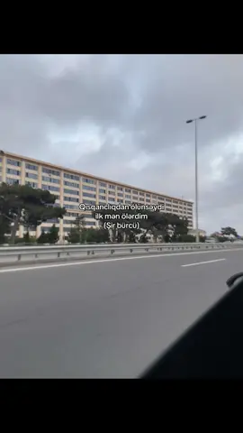 Ultra🙏🏻 #тагизаде❤️🐈 #buzovna 