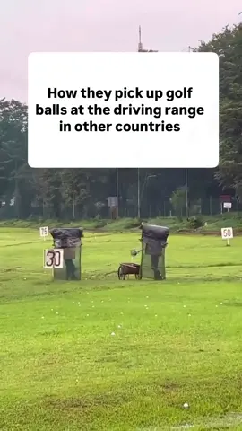 At least he’s wearing a helmet 😂⛳️ . . @mel.golfs  . . . . . . . . . . . . #golf #drivingrange #golfball #beginnergolfer #golfer #golfgirl #golfswing #golfstagram #golfpractice #girlswhogolf #instagolf #golfing #golfmeme #golfaustralia #fyp #golfislife #golfaddict #golfcontent #golfreels #golfhumor #golfjokes #sendhelp #whatthehell #golfclub #golfrange #straya