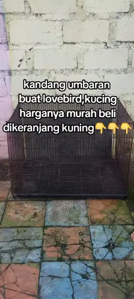 kandang umbaran cocok buat burung,kucing,hamster #kandangumbaran #kandangbox #kandangbesi #kandangkotak 