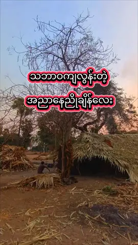 လှလိုက်တာ အညာရယ် လွမ်းဖို့ထိုက်တန်ပါတယ် #fyp #foryou #foryoupage #အညာအလှ #countrylife #ပုဂံ #ညောင်ဦး #myanmartiktok🇲🇲🇲🇲 #မင်းတို့ပေးမှ❤ရမဲ့သူပါကွာ😞😞 #မင်းတို့idolဖစ်ချင်လို့🤭💖 #ချစ်တဲ့သူတေဆီအရောက်သွား #fyppppppppppppppppppppppp #သဲပြင်တော 