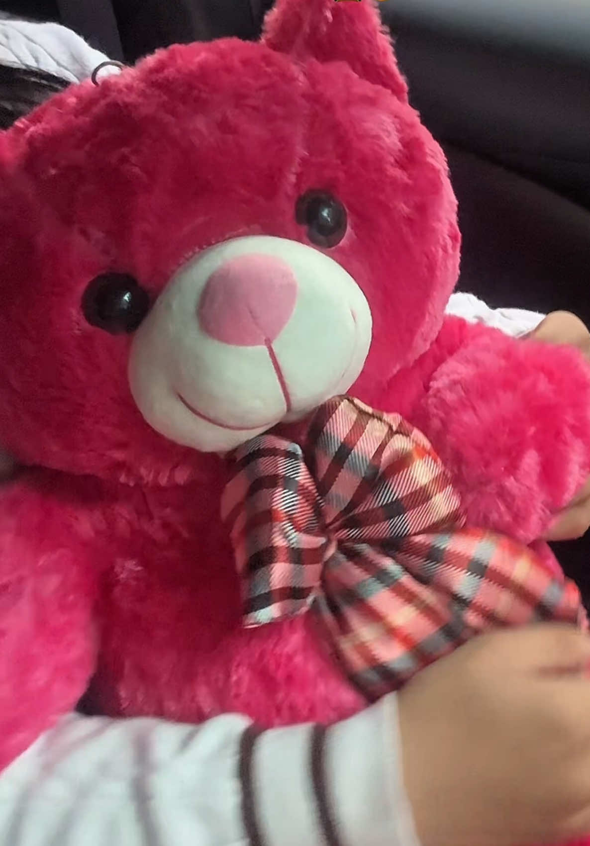 sooo cuteeee 🥺💗 #teddybear  #huggableteddybear  #bears  #giftforher  #fyp  #fyppppppppppppppppppppppp 
