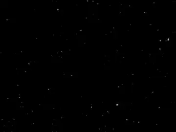 الشو الشو الحب الحب 🫂💞 @ميسو ميسرة #مهرجانات #ميسو_ميسره #طه_محمد❤✨ #Taha_Al_doda❤️✨ #almuhtaram #اكسبلور #viral #اسلام_كابونجا @اسلام كابونجا | Eslam Kabonga 