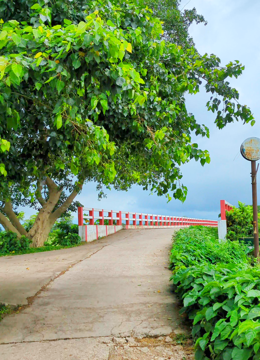 তোমাকে নিয়ে ঘুরতে যাওয়ার অনেকে ইচ্ছা আমার 🥲🌿🖤 #foryoupage #foryou #netural #viralvideo #fyppppppppppppppppppppppp #fypage #viral #tiktok #viraltiktok #unfreezemyacount #bdtiktokofficial 