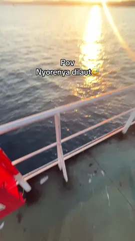 #fyp #laridilaut #pelaut #pelautpunyacerita 