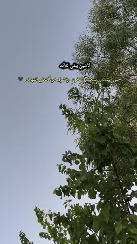 لاشيئ يبقى للأبد #عباراتكم_الفخمه📿📌 #لايك__explore___ #اكسبلورexplore #لايك #