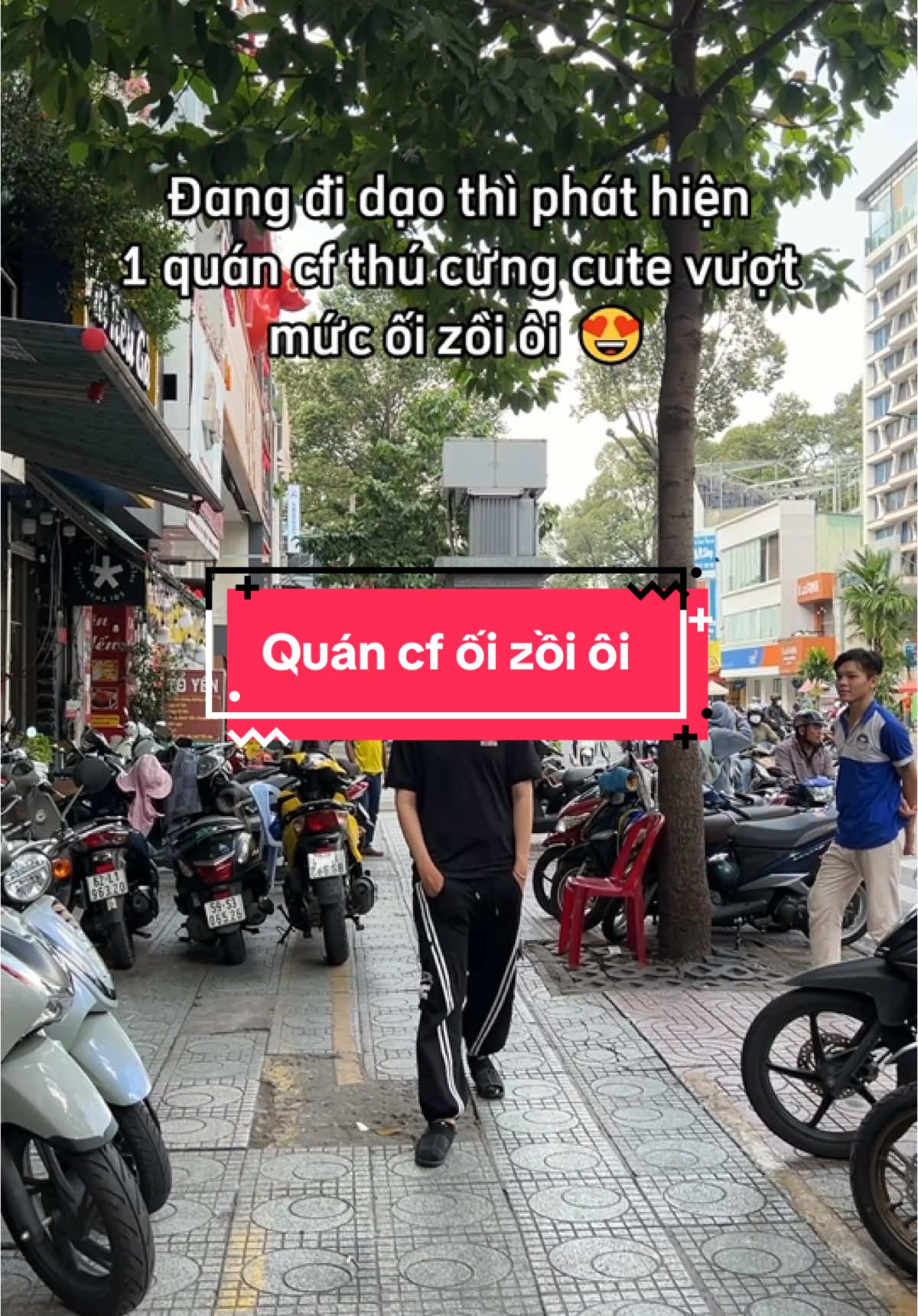 Ối zổi ôi cute quá 🥰😍😍 #cherrypetcoffee #cafethucungsaigon #cafethucung #dogs #cats #capybara #raccoon #haihuocvuinhon 