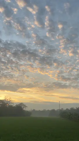 suasana pagi hari #sunrise #fyp #vibes #aesthetics 