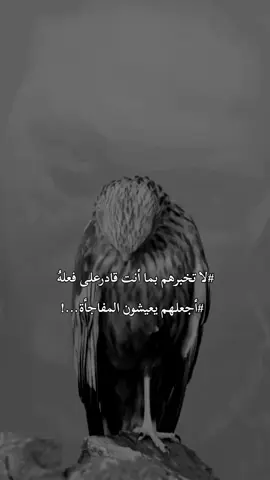 #لا تخبرهم بما أنت قادرعلى فعلهُ،،،أجعلهم يعيشون المفاجأة...!  #fypシ゚ #viral #foryou 