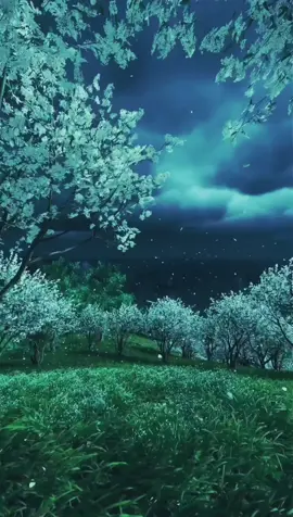 #ترند #خواطر #اقتباسات #foryou #viral #tiktoktrend #citationdujour #pourtoi #fyp #explore #الشعب_الصيني_ماله_حل😂😂 