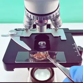 مين زعل كانتي😡