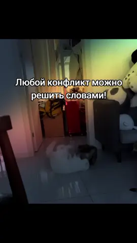 #fyp #real #meme #foryou #рекомендации #прикол #кот 