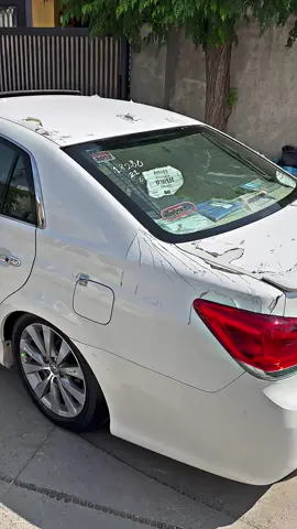 #creatorsearchinsights #ماشاءالله_تبارك_الله #شاکار🤍 #foryou #avalon2012 #saidsadq 