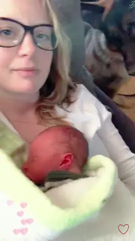 Funny stories about babies and dog 💕#pet #dog #Love #tiktok #dogsoftiktok #foryou #baby #fyp #babiesoftiktok 