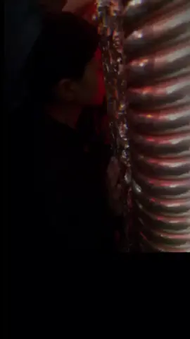 ماكو احلى من خدمه الحسين (ع)
