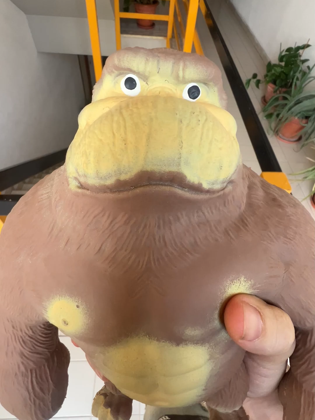 RAGA LA SUA TESTA E' VOLATA 🥲 #monkey #mrmonkey #toys #toy #giocattolo #1 #3