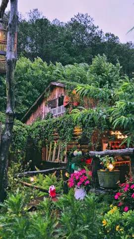 Cơn gió nhẹ nhàng lướt qua làm cho ta có cảm giác bồi hồi, xao xuyến.. #dalat #reviewdalat #nhabenrung #cafenhabenrung #nhabenrungcoffee #caphenhabenrung #nhabenrungcaphe #caphedalat #canhdepdalat #quáncafeviewđẹp #chill #binhyen #hoanghon #nhago 