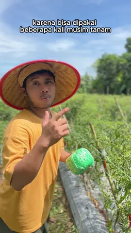 Tali Gawer: Solusi kuat & tahan lama untuk tanaman menjalar! Memiliki lapisan lilin, tahan terhadap terik matahari, dan bisa dipakai berkali-kali hingga musim panen berikutnya! 💪🌿 #taligawer #pertanianpintar #tanamanmenjalar #hematbiaya #talipertanian #talimusimpanen #panentanaman #musimpanen #talitanamkacangpanjang #talimalaysia #talinanas 