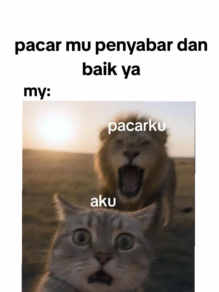 dia penyabar kok#kucinglucu #kucing #random #randommemes #lucu #lucu_ngakak #lucubanget #story #storywa #storywhatsapp #fyp #fypシ #fypシ゚viral #bismillahfyp #masukberandafyp 