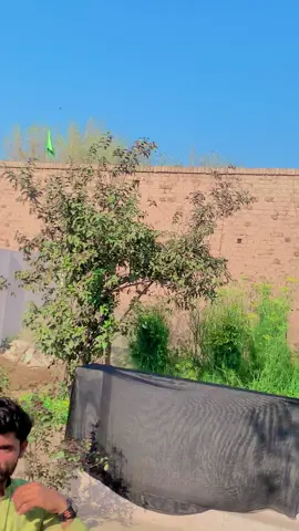Views munafiq samje gay ho gay 