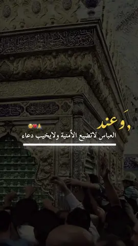 🥺💔🕊️