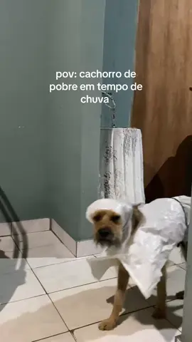 A capa de milhões 🗣️ #fyp 