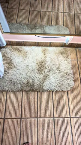 ✨ Chegou novidade! Novo modelo de saia disponível na nossa loja — versátil, elegante e pronto pra transformar seus looks! 📱 Atendimento exclusivo no link da bio. 📍 Rua Simões Filho, 439 – Loja n 72 Boca do Rio ✈️ Enviamos para todo o Brasil! #LookDoDia #ModaFeminina #TrendAlert #Fashion #SaiaEstilosa #varejo #VemPraLoja