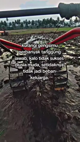 #traktorsawah #petaniindonesia🇮🇩🇮🇩🇮🇩🌿🌿 #petanimuda #g1000punyacerita #bajaksawah #xybca #fyppppppppppppppppppppp 